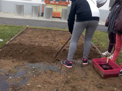 Preparação do terreno.